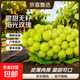 陽光玫瑰葡萄晴王青提香水提子新鮮應(yīng)季水果一斤也是批發(fā)價(jià) 帶箱4斤大果【單果克重10g-20g】（凈重約3.5斤）