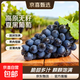 云南高原無(wú)籽夏黑葡萄（8甜2酸爽口） 3斤禮盒裝