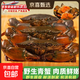 緬甸野生青蟹鮮活1-2斤裝海鮮水產(chǎn)醬蟹醉蟹肉蟹處子蟹大螃蟹 【野生肉蟹】1斤（8~9只）