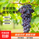 2025頭茬藍寶石葡萄酸甜無(wú)籽純天然種植一整箱葡萄水果新鮮當季 凈重3斤