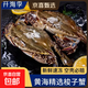 梭子蟹鮮活新鮮冷凍特大一整箱螃蟹野生海蟹飛蟹公蟹母蟹冰鮮 【特大號】6-8兩/只 6斤凈重