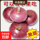 山東特產(chǎn)水果扁洋蔥甜瓜口感紅皮扁蔥頭生吃脆甜蘸醬好吃粉嫩 紫皮洋蔥大果帶箱 2斤 精選