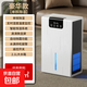 菱帥除濕機家用臥室去濕器吸濕干燥除潮防潮小型抽濕神器地下室回南天除濕神器 1L/天 20-40平以?xún)?遙控豪華款+單核除濕
