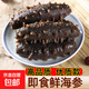 即食海參獨立包裝新鮮海鮮禮盒鮮食大連海參刺身冷凍遼參優(yōu)質(zhì)刺參 優(yōu)質(zhì)海參1斤（10-15頭）