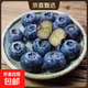 【進(jìn)口藍莓新產(chǎn)季】藍莓POP系列果粉多口感脆爽酸甜京東快遞包郵 藍莓中果單果14mm+ 進(jìn)口藍莓嘗鮮125g*2盒裝