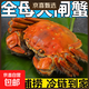 禮盒裝鮮活大閘蟹螃蟹河蟹3-3.3兩/只10只裝全母蟹 全母2-2.3兩/只8只裝
