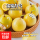 廣西欽蜜9號黃金百香果萬(wàn)澄當季新鮮大果黃皮果奶茶店水果 【中果5斤】約35-40個(gè)