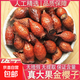 野生金櫻子干貨中藥材泡茶水泡酒煲湯金櫻果批發(fā)紅果新貨金英子 凈重金櫻子干果【500克】