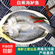深海七星三去開(kāi)背免洗海鱸魚(yú)空保鮮活魚(yú)新鮮速凍冷凍清蒸高營(yíng)養 500克-600克 開(kāi)背海鱸魚(yú)5條【條條精選】愛(ài)吃魚(yú)首選