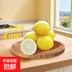[果園現發(fā)]廣東黃香水檸檬新鮮香水檸檬奶茶專(zhuān)用產(chǎn)地源頭直發(fā) （帶箱2斤 約8-12顆） 黃香水檸檬單果70g起
