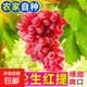 【彩箱】克倫生紅提新鮮應季水果無(wú)籽葡萄提子整箱批發(fā)禮箱 【彩箱】帶箱2斤裝