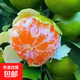 宜昌蜜桔青皮橘子酸甜柑橘果園現摘水果一級果 蜜桔9斤（一級果）