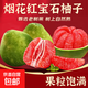 正宗紅寶石柚新鮮水果柚子煙花紅心柚當季孕婦產(chǎn)地直發(fā)包郵 【煙花紅寶石柚】小果1粒裝 單果1.9斤+