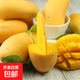 【花皮介意慎拍】新鮮四季芒果當季特產(chǎn)水果半熟果發(fā)貨 臺芒9斤單果100克以上