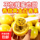 廣西欽蜜9號黃金百香果萬(wàn)澄當季新鮮大果黃皮果奶茶店水果 【大果5斤】約27-35個(gè)單果60-70g