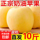 【黃金奶油富士蘋(píng)果】脆甜多汁正宗山東煙臺富士蘋(píng)果棲霞水果 帶箱9-10斤奶油富士/中果75-80mm
