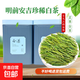正宗高山珍稀白茶明前新茶春茶特級綠茶毛峰罐裝濃香嫩芽安吉特產(chǎn) 50克*1罐