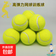 高彈力耐打訓練網(wǎng)球一級球單色原色網(wǎng)球高彈力網(wǎng)球訓練球 高彈力訓練網(wǎng)球-10個(gè) 無(wú)規格