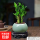 【富貴竹盆栽】年宵花?步步高土水培辦公室內盆栽?xún)艋∧苁只?精品3棵竹【冰裂陶瓷盆+托+土】 約20-25cm