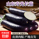 山東壽光長(cháng)茄子當季時(shí)令生鮮蔬菜農家新鮮采摘家常產(chǎn)地直發(fā)包郵 凈重 5斤