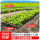 批發(fā)小拱棚支架玻璃纖維新型大棚骨架地膜蔬菜棚拱桿玻璃鋼桿 粗5毫米長(cháng)1.8米 20根大棚支架