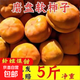 新鮮軟特大柿子大盆柿磨盤(pán)柿軟蜜非脆柿10軟柿子磨盤(pán)大果現摘5斤 凈重5斤單果300-400g