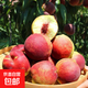 山東青州蜜桃脆甜桃子新鮮水果青毛桃水蜜桃秋桃冬桃-鮮集 青州蜜桃2粒嘗鮮裝