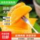 【東東農場(chǎng)專(zhuān)供】越南特大青皮大青芒果新鮮水果熱帶水果當季 帶箱 5斤