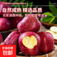 2025年現摘現發(fā)甘肅天水花牛蘋(píng)果新鮮紅蛇果粉面生鮮脆甜多汁A14 帶箱9斤  果徑75mm以上