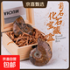 天然菊石古生物原石古海洋生物斑彩螺化石標本兒童地質(zhì)科普禮盒