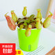 捕蠅草盆栽超大撲蠅草豬籠草茅膏菜食蟲(chóng)草捕蟲(chóng)草驅蚊室內桌面好養 紅嶺豬籠草 帶盆栽好