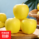 山東煙臺黃金奶油富士蘋(píng)果脆甜冰糖心很像維納斯蘋(píng)果 帶箱5斤凈4.5斤75果