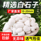 鵝卵石天然雨花石小白石子多肉鋪面石盆栽花盆養花水培白色石頭 白石子10-20mm 1斤