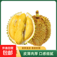 【4月10日發(fā)貨】正宗進(jìn)口金枕頭榴蓮精品鮮果新鮮帶殼熱帶水果 單果4-5斤四房鮮果