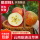 云南昭通丑蘋(píng)果當季水果冰糖心紅蘋(píng)果脆香甜多汁小蘋(píng)果產(chǎn)地直發(fā) （ 中果100g+）含箱1斤【解饞】