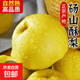 【2025新梨】正宗碭山老梨樹(shù)酥梨新鮮采摘酥脆多汁薄皮沐馳1 酥梨帶箱5斤