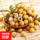 【金標大果】泰國金標帶枝特級龍眼新鮮采摘桂圓進(jìn)口當季熱帶水果 帶盒5斤裝