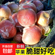 【活動(dòng)價(jià)】25新果陜西丑蘋(píng)果紅富士孕婦水果產(chǎn)地直發(fā)新鮮水果現摘 【時(shí)令嘗鮮】70-80mm帶箱3斤