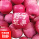 甘肅平?jīng)鲮o寧紅富士蘋(píng)果脆甜多汁/吃遍天下蘋(píng)果/還想靜寧蘋(píng)果 甘肅平?jīng)鲮o寧紅富士24枚75mm帶箱9.5斤
