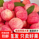 山東紅富士蘋(píng)果現摘水果新鮮當季紅富士蘋(píng)果冰糖心果脆甜整箱包郵 整箱10斤凈重8.5斤【80-85mm】