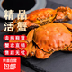 【公母對】大閘蟹鮮活蟹黃世家興化紅膏當天發(fā)貨包郵 公4.5兩+母3.5兩 5對10只