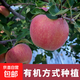 2025年蘋(píng)果新鮮水果當季整箱紅富士10斤現摘脆甜原生態(tài)冰糖心有機 整箱10斤【75-80mm】