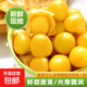 正宗東北姑娘果特產(chǎn)新鮮燈籠果新鮮黃菇娘果當季生鮮現摘產(chǎn)地直發(fā) 【推薦】?jì)糁?斤