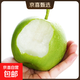 碭山青皮蜜梨皮薄肉嫩脆甜多汁新鮮水果當季生鮮中翠梨 帶箱9.5-10斤 單果200g+