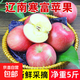 遼寧當季現摘寒富蘋(píng)果5斤裝東北大連紅富士特產(chǎn)新鮮水果 整箱10斤【80-85mm】