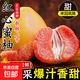 梅州紅心蜜柚白肉柚子新鮮水果冰糖金碌柚非三紅柚沙田柚產(chǎn)地直發(fā) 紅心蜜柚 【解饞】2粒 單果1.4斤+