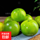 福建果園直發(fā)爆汁翡翠葡萄柚 8斤-9斤裝家庭款（贈送便攜式榨汁器）