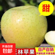 正宗王林青蘋(píng)果雀斑青森雀斑美人脆甜水果新鮮當季整箱明月 80mm（含）-85mm(不含) 5斤