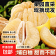 梅州紅心蜜柚子新鮮當季水果紅肉柚酸甜多汁非三紅蜜柚產(chǎn)地直發(fā) 【小果】白柚1粒 凈重1.4斤+