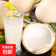 高端品質(zhì)泰國當季椰皇新鮮水果椰子現摘奶香椰皇椰子椰青-琮沐 2粒裝（單果400-500克）